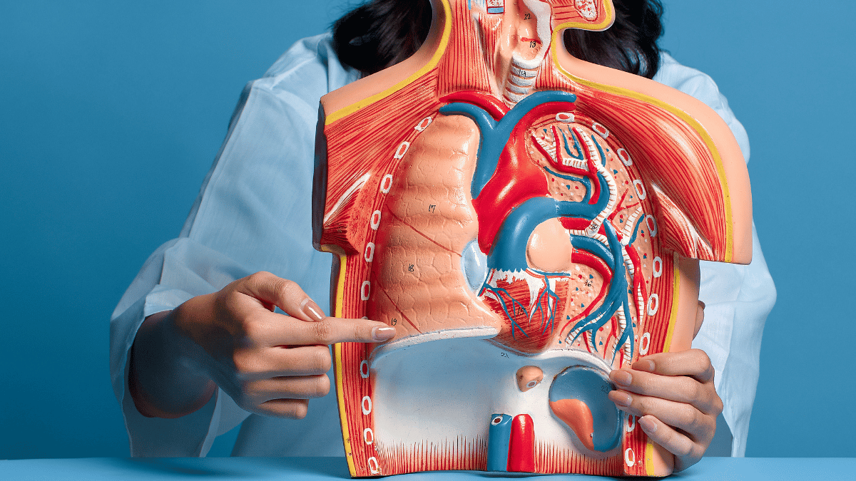 Illustration of natural methods to cleanse your lungs, including deep breathing exercises, healthy foods, and herbal remedies.