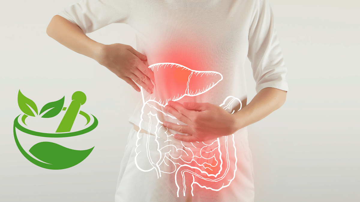 Herbal Solutions for Digestive Issues for Relief